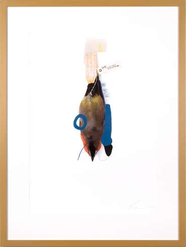 Thumbnail image of Lucy Stevens, 'Waxwing (Blue Lobster)' - A sample of artworks in LSA Annual Exhibition 2019