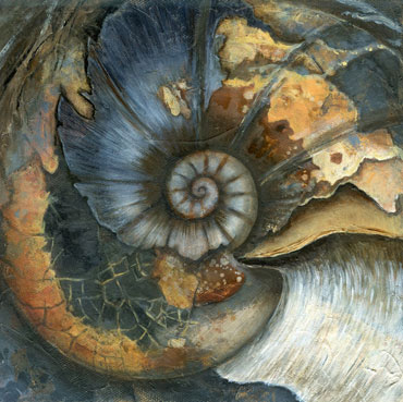 Thumbnail image of Ammonite by Jo Sheppard
