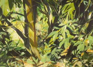 Thumbnail image of Grove at Launde by Peter Clayton