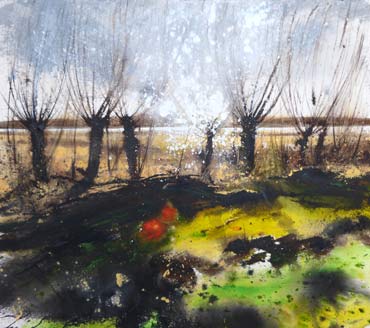 Thumbnail image of Pollarded willows and reed beds, Rutland Water by Philip Dawson