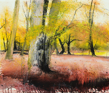 Thumbnail image of Autumn Gold, New Forest, II by Philip Dawson