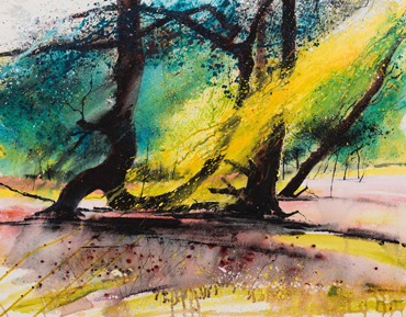 Thumbnail image of Autumn Sunlight, New Forest by Philip Dawson