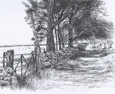 Thumbnail image of Gate & Pines on Warren Hill by Ruth Randall