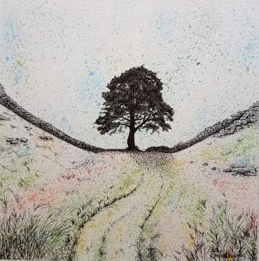Thumbnail image of Sycamore Gap by Sally Struszkowski