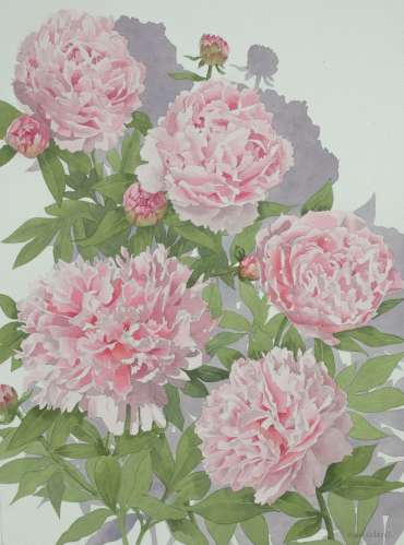 Thumbnail image of Mary Rodgers, 'Pink Peony' - A sample of artworks in LSA Annual Exhibition 2019