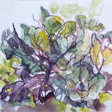 Thumbnail image of 47:  Toni Northcott, 'Kim's Cabbages' - LSA Annual Exhibition 2020 | Artwork
