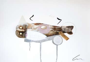 Thumbnail image of Lucy Stevens, 'Barn Owl (Amelia)' - Inspired | June
