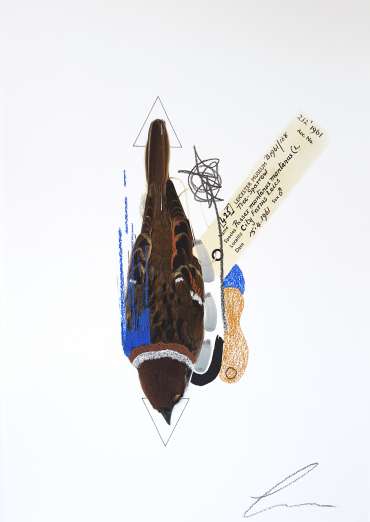 Thumbnail image of Lucy Stevens, 'Tree Sparrow (Cobalt Blue)' - Inspired | June