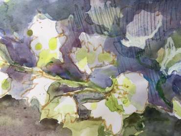 Thumbnail image of Lesley Brooks, 'Delphiniums 1' (sketchbook study) - Inspired | August
