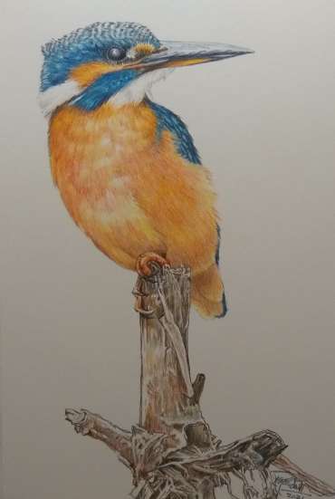 Thumbnail image of Ruth Randall,Kingfisher - Reawakening