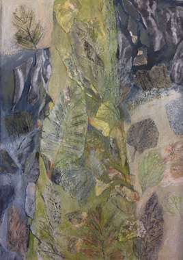 Thumbnail image of Tree, Botanic Garden - Past Member | Ruth Cockayne