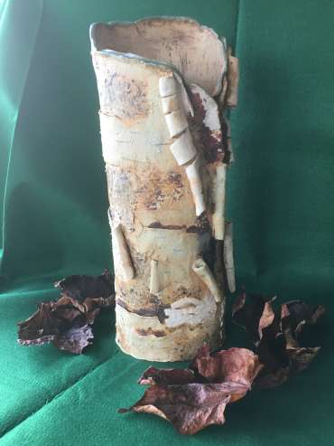 Thumbnail image of 116 Jill Scott | Birch Tree Vase - LSA Annual Exhibition 2023 | Catalogue S - Z