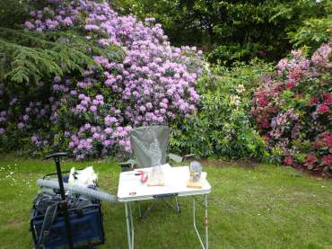 Art in the Garden