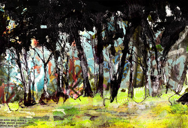 Thumbnail image of The Way through the Woods by Alan Hopwood