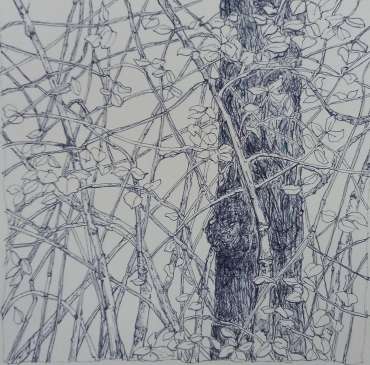 Thumbnail image of Swithland 2 by Jane Adams