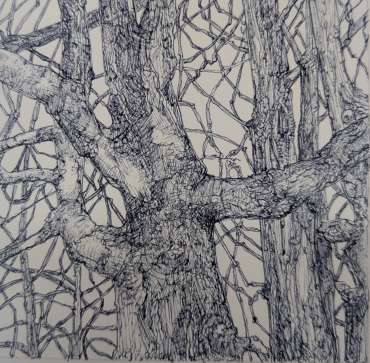 Thumbnail image of Hawksyard by Jane Adams