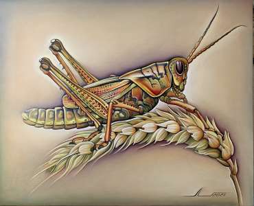 Thumbnail image of Grasshopper by Lidiya Bukikova
