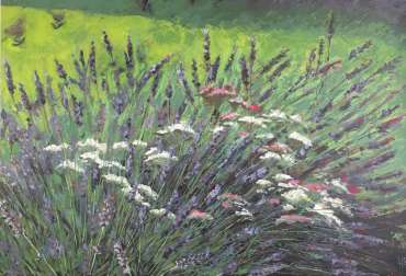 Thumbnail image of Free Range Lavender by Lisa Timmerman