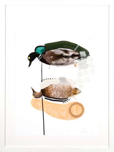 Thumbnail image of The Mallards (Salmon) by Lucy Stevens