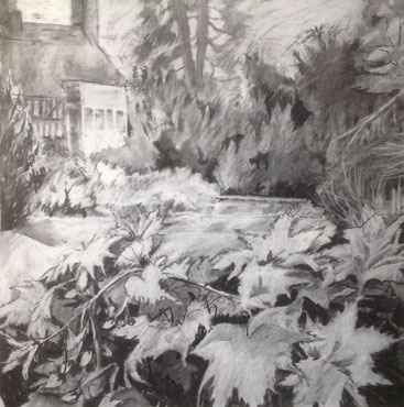 Thumbnail image of Abutilon at Hastings House, Leicester Botanic Gardens by Margaret Chapman