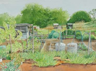 Thumbnail image of Allotment with Bins by Mary Rodgers