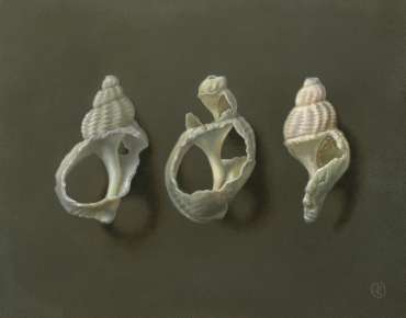 Thumbnail image of Broken Homes by Pete Underhill