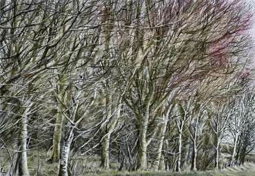 Thumbnail image of Around the Corner by Rebecca Bennett