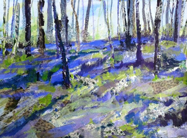 Thumbnail image of Burleigh Bluebell Woods by Rita Sadler