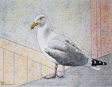 Thumbnail image of Herring Gull by Sally Struszkowski