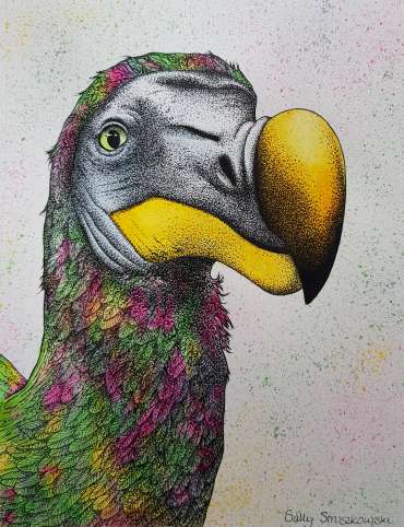 Portrait of the Dodo from Leicester by Sally Struszkowski