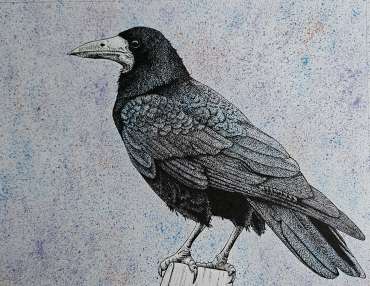  by Sally Struszkowski
