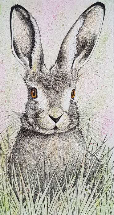 Thumbnail image of Hare by Sally Struszkowski