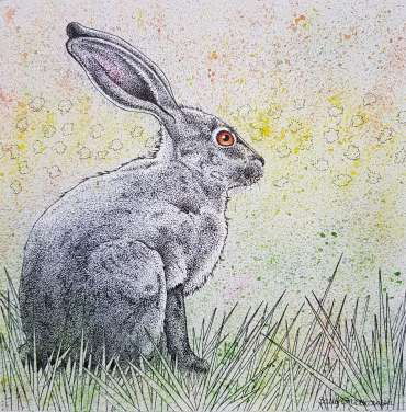 Thumbnail image of Meadow Hare by Sally Struszkowski