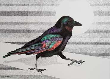 A Raven Named Raymond by Sally Struszkowski